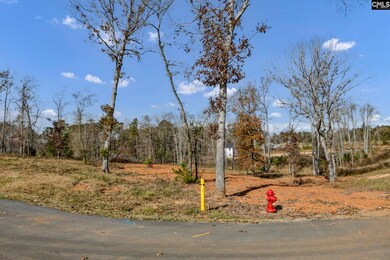 0 Lands End Ln unit 622665, Prosperity, SC 29127 - photo 2