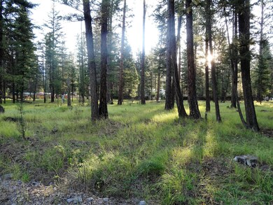 453 Kelley Dr, Big Fork, MT 59911 - photo 4