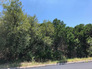 11414 Mountain Climb, Helotes, TX 78023 - photo 4