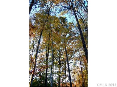 Land/Lot - Naturally Beautiful!