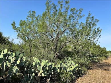 0 Cameron Ln, Fowlerton, TX 78021 - photo 2