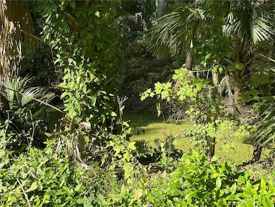 3785 Cr 405n, Lake Panasoffkee, FL 33538 - photo 4