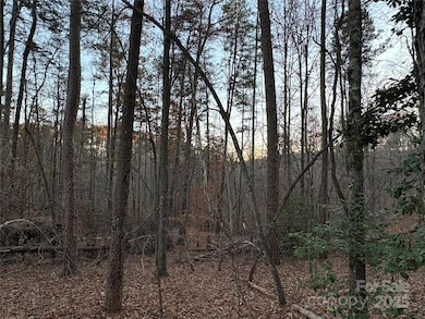 0 Polk County Line Rd unit CAR4322690, Rutherfordton, NC 28139 - photo 7