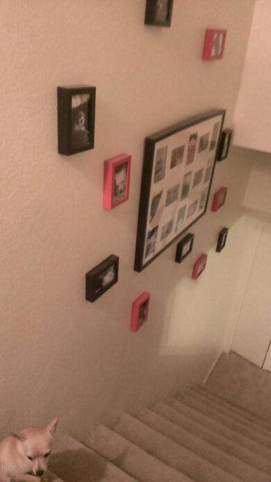 IMAG0710