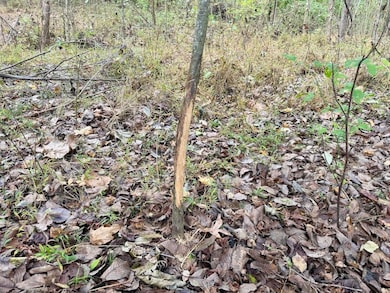 0 Faye Barfield Rd unit LotWP001, Henning, TN 38041 - photo 4