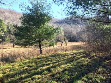 View of the field back toward the road.