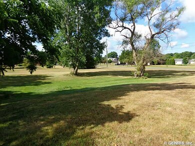 Yard.