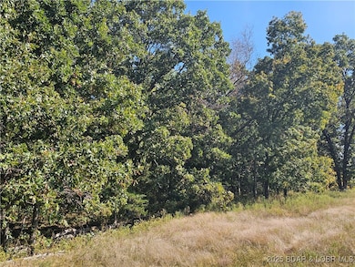 Tract D Beechnut Rd, Buffalo Township, MO 65078 - photo 3