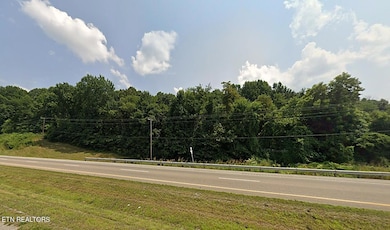 VIEW OF START OF LOT