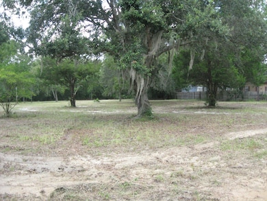 4154 Deer Trail, Middleburg, FL 32068 - photo 2