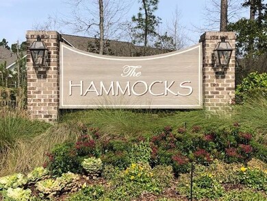 The Hammocks