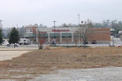 720 E Forsyth St, Americus, GA 31709 - photo 4