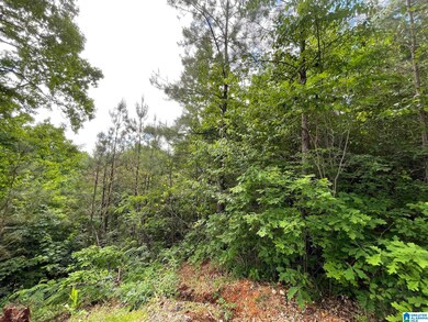 6434 Cambridge Rd unit LOT 30, Pinson, AL 35126 - photo 5