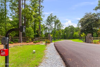 Springwood-July2025-5