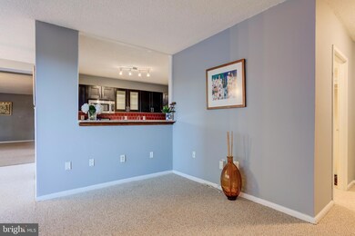 Skyline Plaza unit 116N, Baileys Crossroads, VA 22041 - photo 6