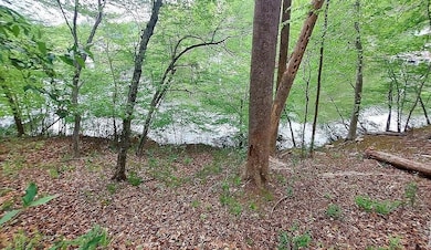 64 Lakewatch Cir, Moneta, VA 24121 - photo 4