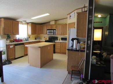 220 SW 12th Ave, Cedaredge, CO 81413 - photo 4