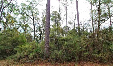 0 Pan Cera Dr, Crawfordville, FL 32327 - photo 2