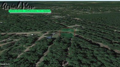 0 Tahiti Rd unit Jefferson TX 75657, Pine Harbor, TX 75657 - photo 7