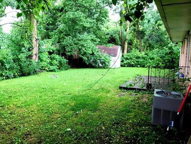 Backyard1