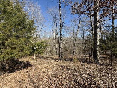 20 Backwoods Estates, Indian Mound, TN 37079 - photo 4