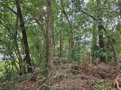 TBD SW 194th Ct unit LOT 37, Dunnellon, FL 34432 - photo 5