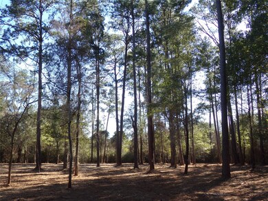 31317 Joseph Rd, Hockley, TX 77447 - photo 3