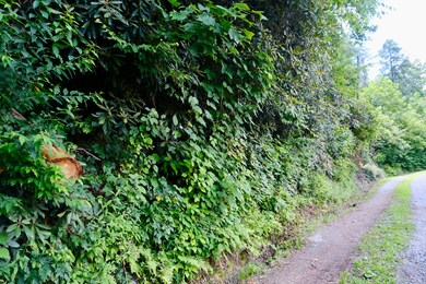 Co Rd 1701, Hendersonville, NC 28792 - photo 6