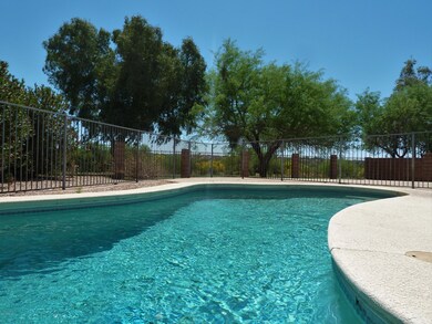 1161 - Sparkling Pool