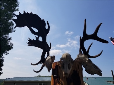 213 Button Rd, West Edmeston, NY 13485 - photo 3