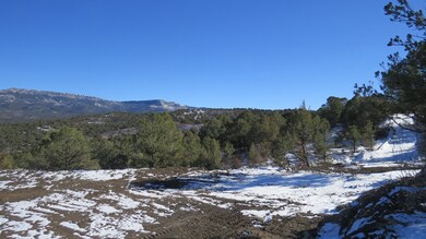 IMG_5766