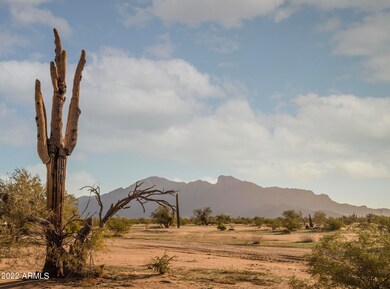 ---- E Nutt Rd unit A, Picacho, AZ 85141 - photo 5