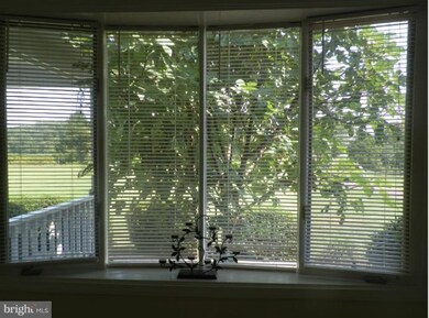 19236 Blue Ridge Ln, Jeffersonton, VA 22724 - photo 5