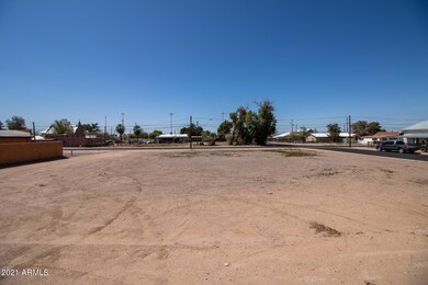 East Property Line Looking West