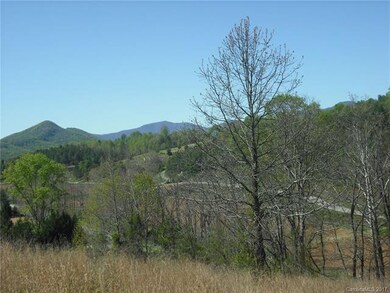 2 Timber Hill Dr unit LOT 1, Leicester, NC 28748 - photo 6