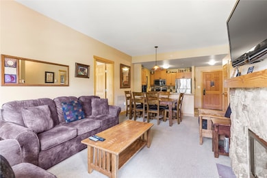 910 Copper Rd unit 219, Frisco, CO 80443 - photo 4