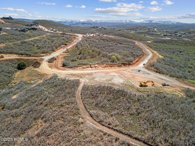 DJI_20250502131915_0303_D