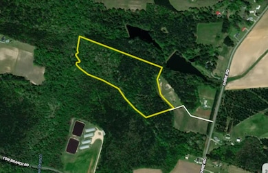 Shine Rd unit LotWP001, Snow Hill, NC 28580 - photo 3