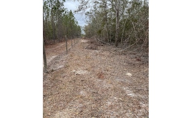 TBD SW 57th Trail, Jasper, FL 32052 - photo 7