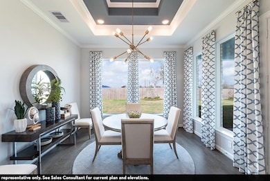 16225 Flatlands Way, Celina, TX 75009 - photo 7