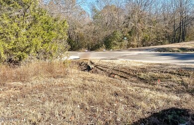 Intersection of Belmont/Slocum