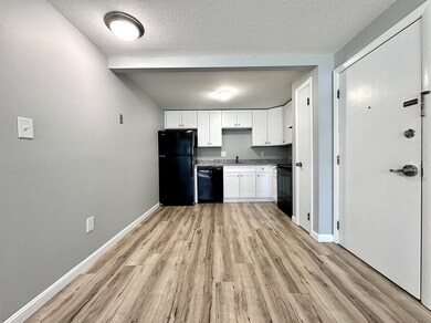 13 Old Colony Ln unit 2, Arlington, MA 02476 - photo 2