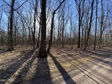 Lot 104 Mountain Top Rd, Lackawaxen Township, PA 18435 - photo 4