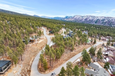 72 Cabin Creek Dr, Durango, CO 81301 - photo 5