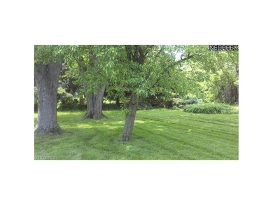 Beautiful back yard!