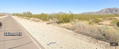 000 SE Salome Rd, Salome, AZ 85348 - photo 3