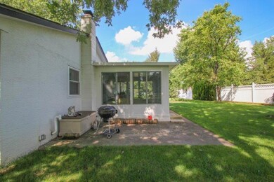 Backyard-4