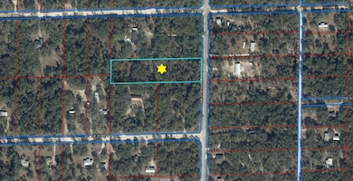 Lot 102 NE 118th Terrace, Bronson, FL 32621 - photo 5