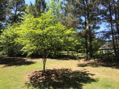 4607 Private Road 3057, Oxford, MS 38655 - photo 2