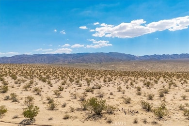 67800 Raymond Dr, Twentynine Palms, CA 92277 - photo 3